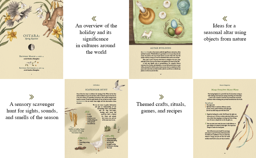 The Wheel of the Year: An Illustrated Guide to Nature's Rhythms by Fiona Cook, Jessica Roux