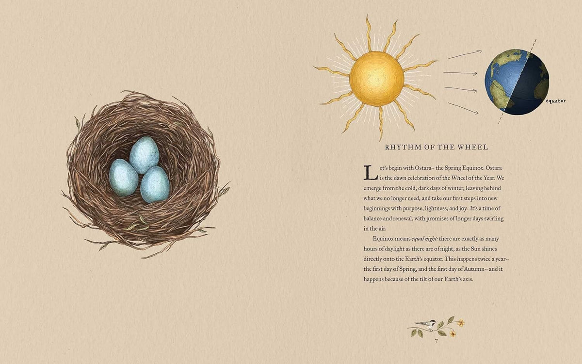 The Wheel of the Year: An Illustrated Guide to Nature's Rhythms by Fiona Cook, Jessica Roux
