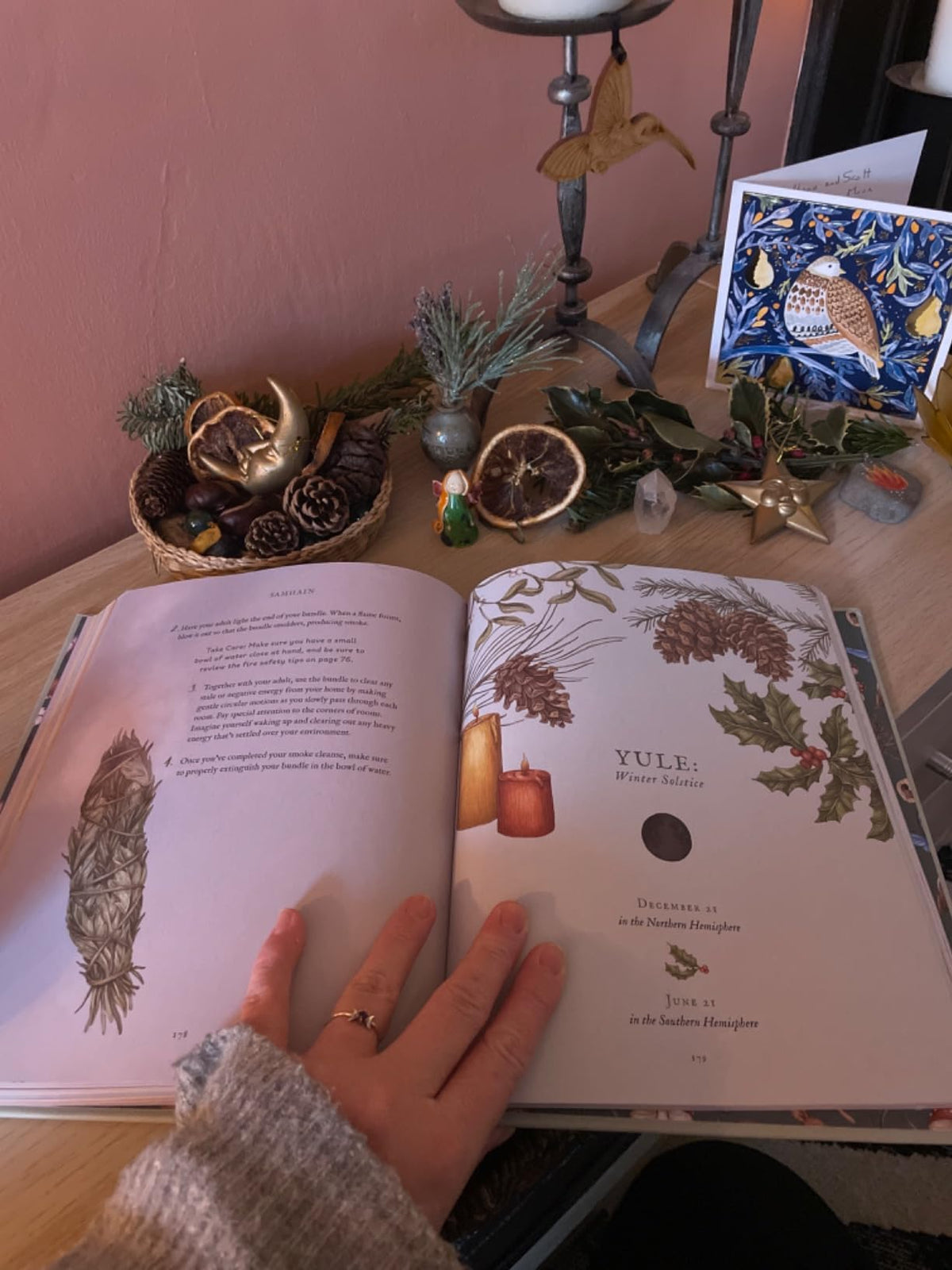 The Wheel of the Year: An Illustrated Guide to Nature's Rhythms by Fiona Cook, Jessica Roux