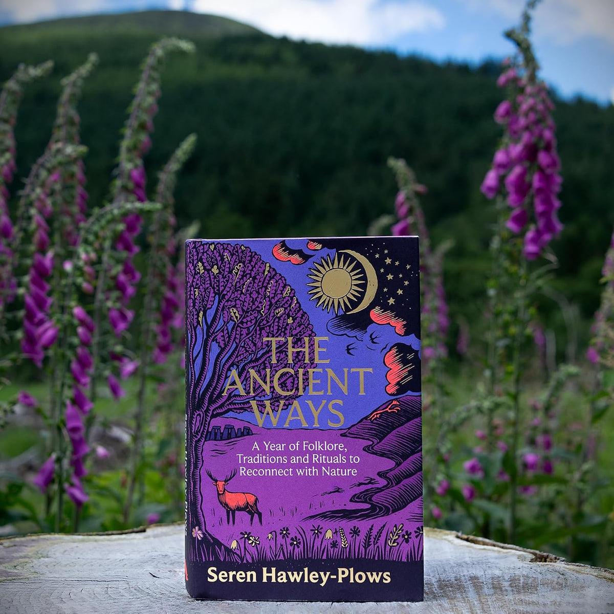 The Ancient Ways: A Year of Folklore, Traditions and Rituals to Reconnect with Nature by Seren Hawley-Plows