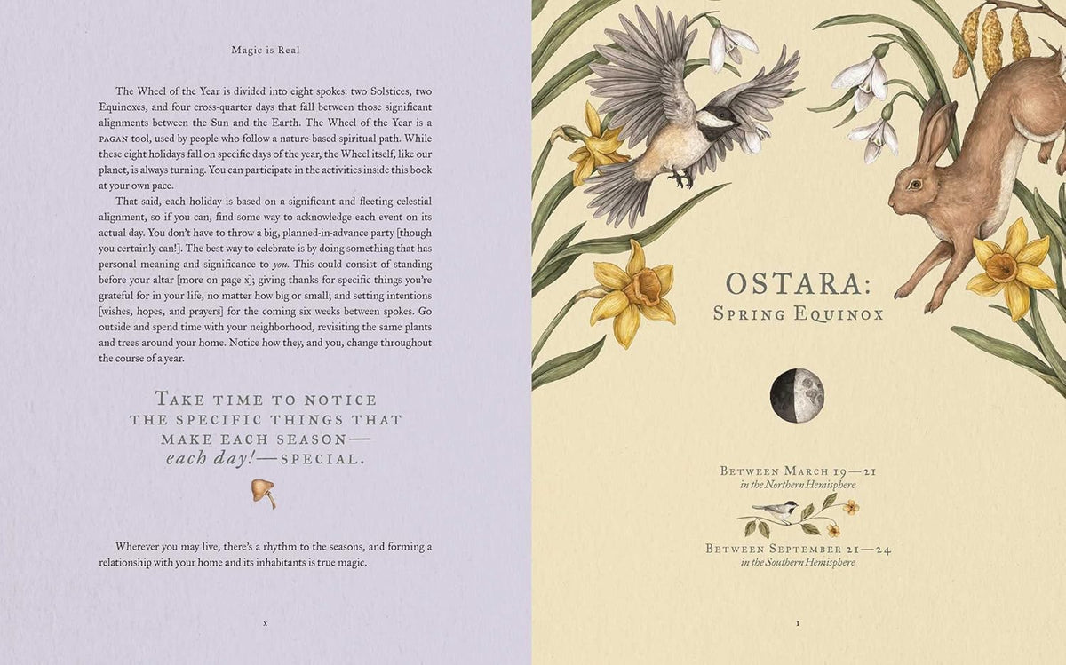 The Wheel of the Year: An Illustrated Guide to Nature's Rhythms by Fiona Cook, Jessica Roux