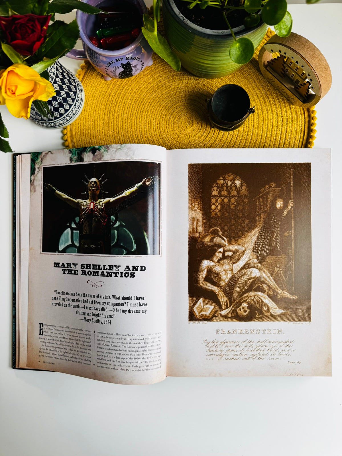 Frankenstein: Written and Directed by Guillermo del Toro, Film Book