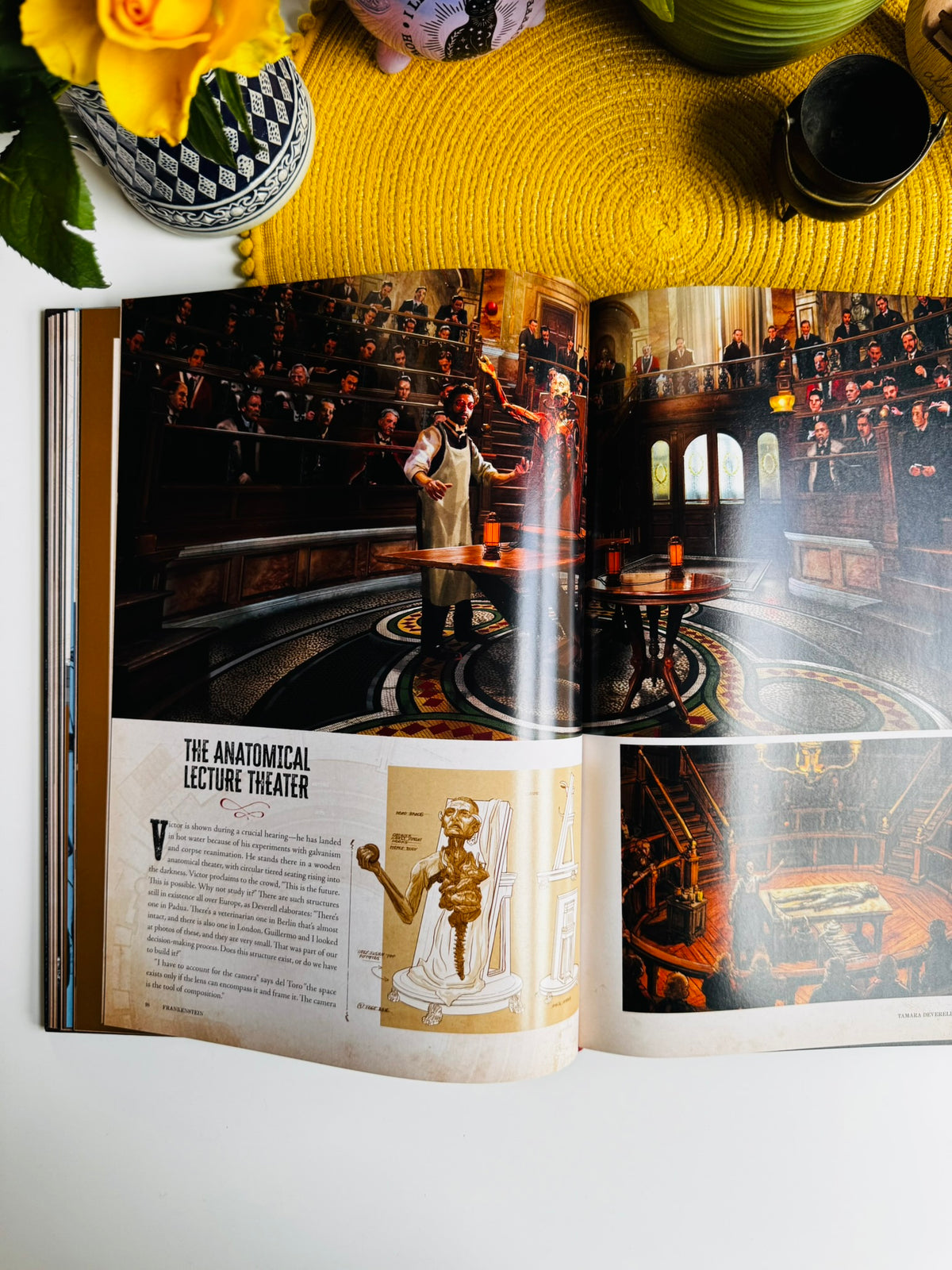 Frankenstein: Written and Directed by Guillermo del Toro, Film Book