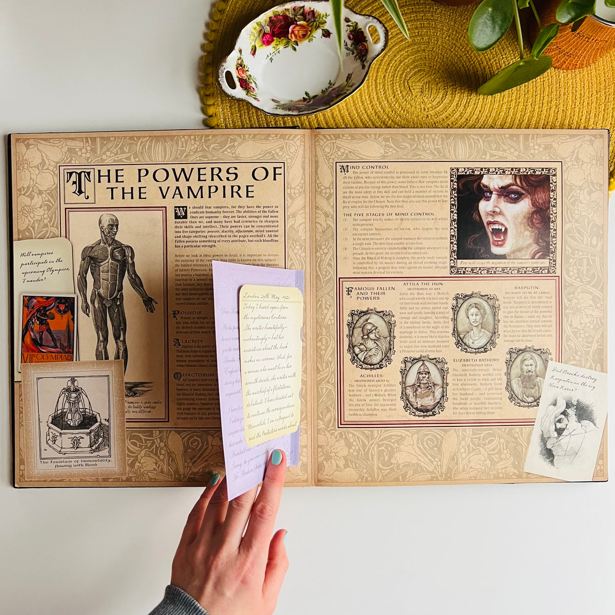 Vampireology, The True History of the Fallen Ones, A Book On Vampires & Lore, Ology Series