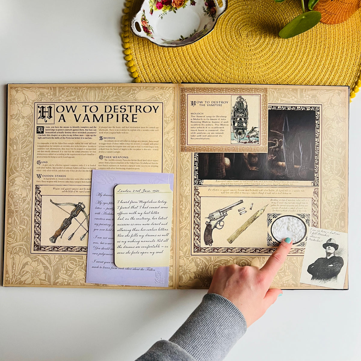Vampireology, The True History of the Fallen Ones, A Book On Vampires & Lore, Ology Series