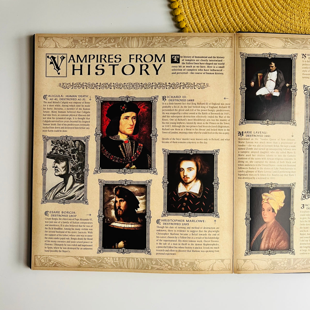 Vampireology, The True History of the Fallen Ones, A Book On Vampires & Lore, Ology Series