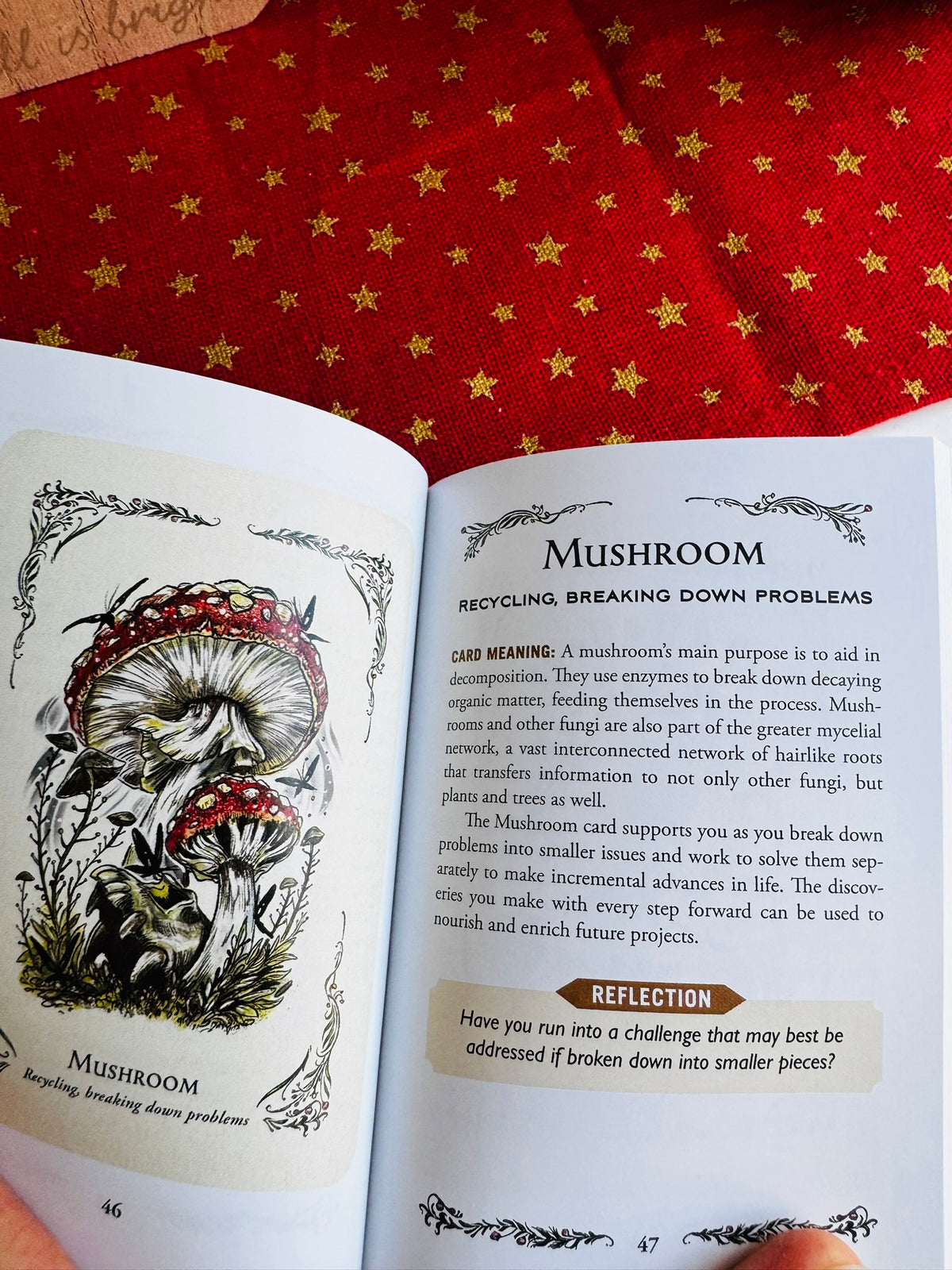 The Green Witch's Oracle Deck