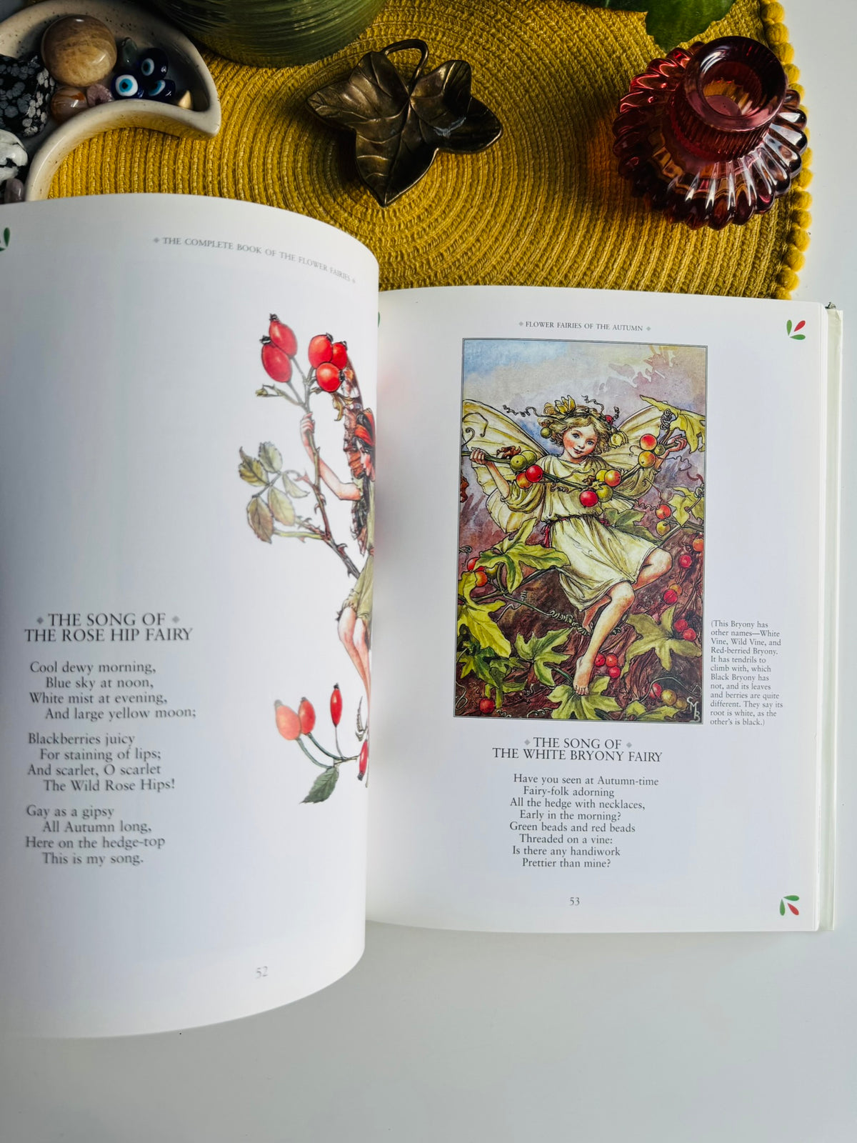 The Complete Book of the Flower Fairies by Cicely Mary Barker