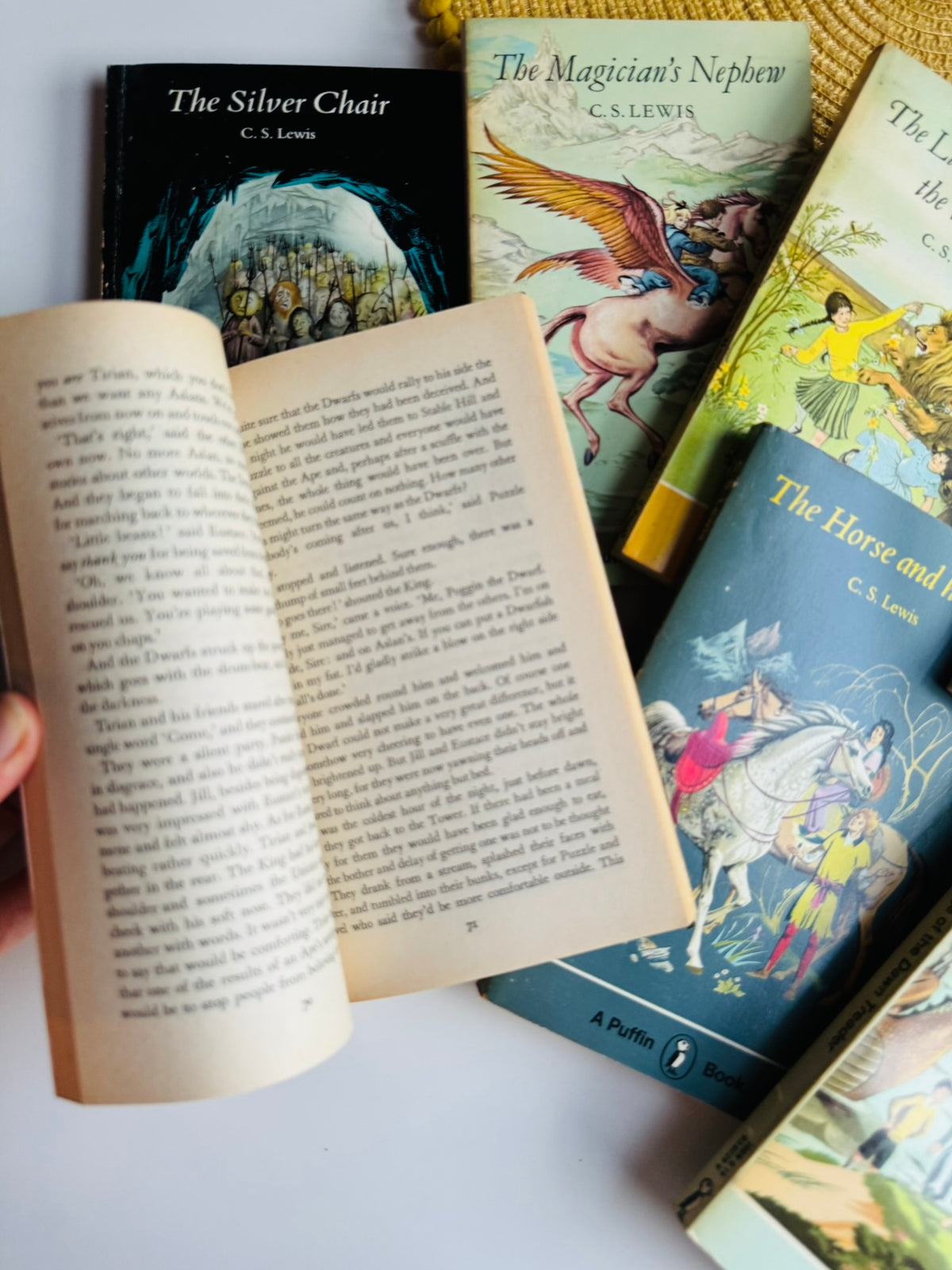 Vintage The Chronicles of Narnia Seven Book Set, C S Lewis, 1976 Edition