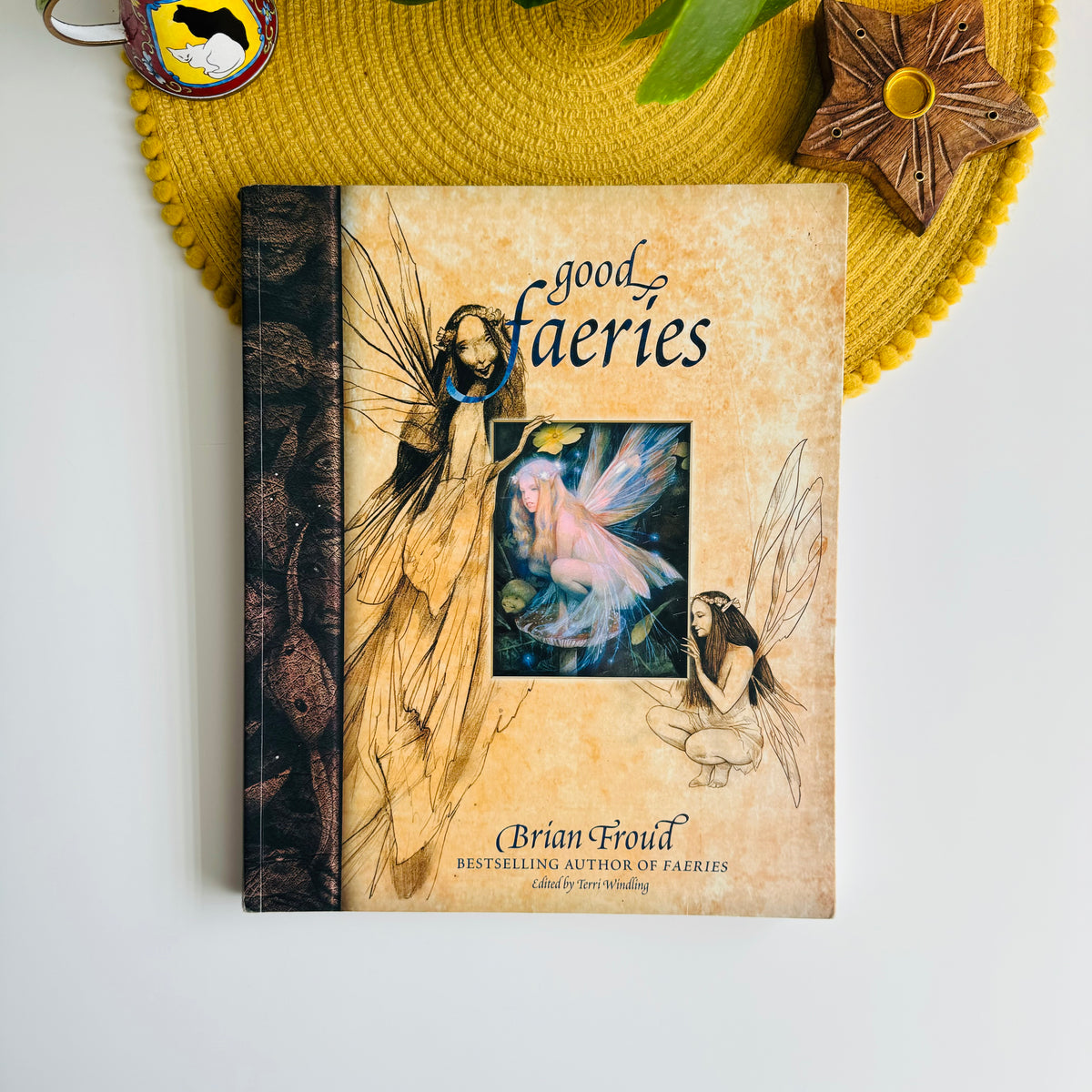 Good Faeries, Bad Faeries by Brian Froud