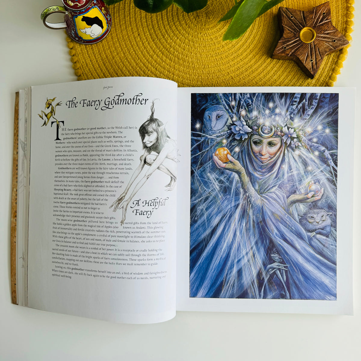 Good Faeries, Bad Faeries by Brian Froud