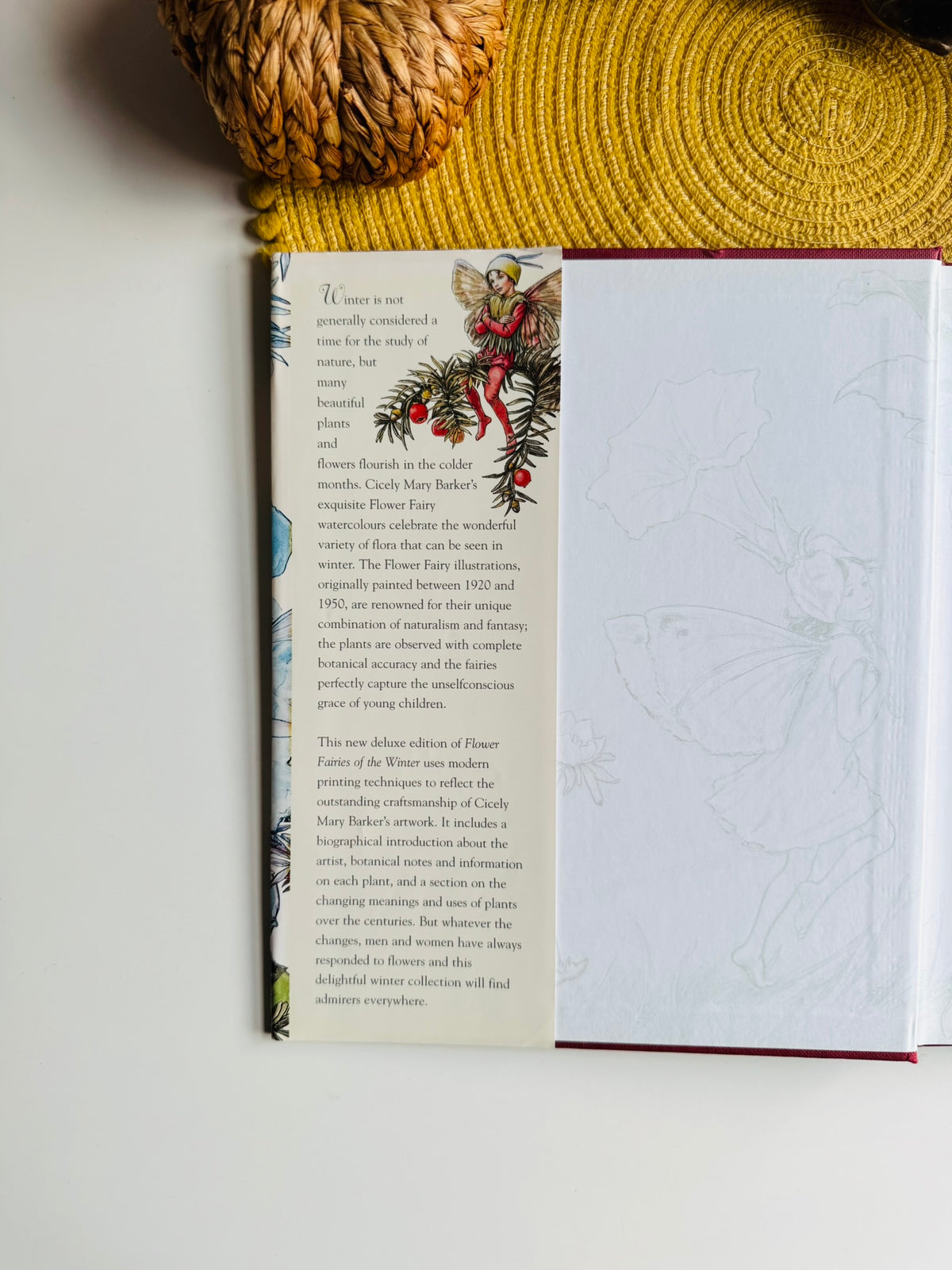 Flower Fairies of the Winter: A Celebration by Cicely Mary Barker