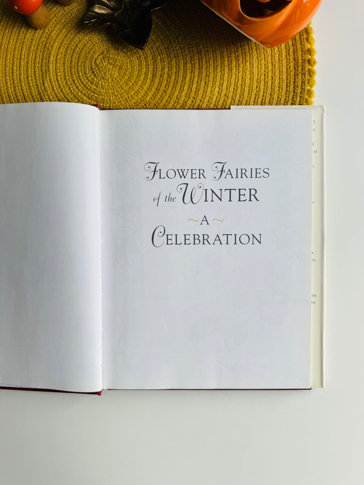 Flower Fairies of the Winter: A Celebration by Cicely Mary Barker