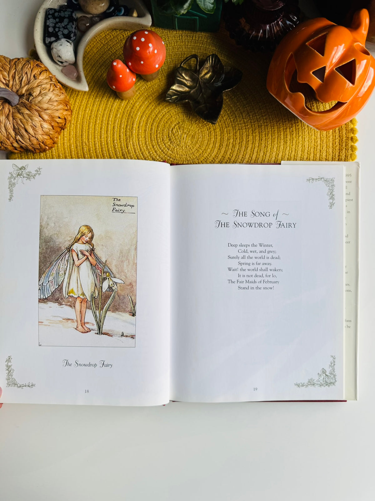 Flower Fairies of the Winter: A Celebration by Cicely Mary Barker