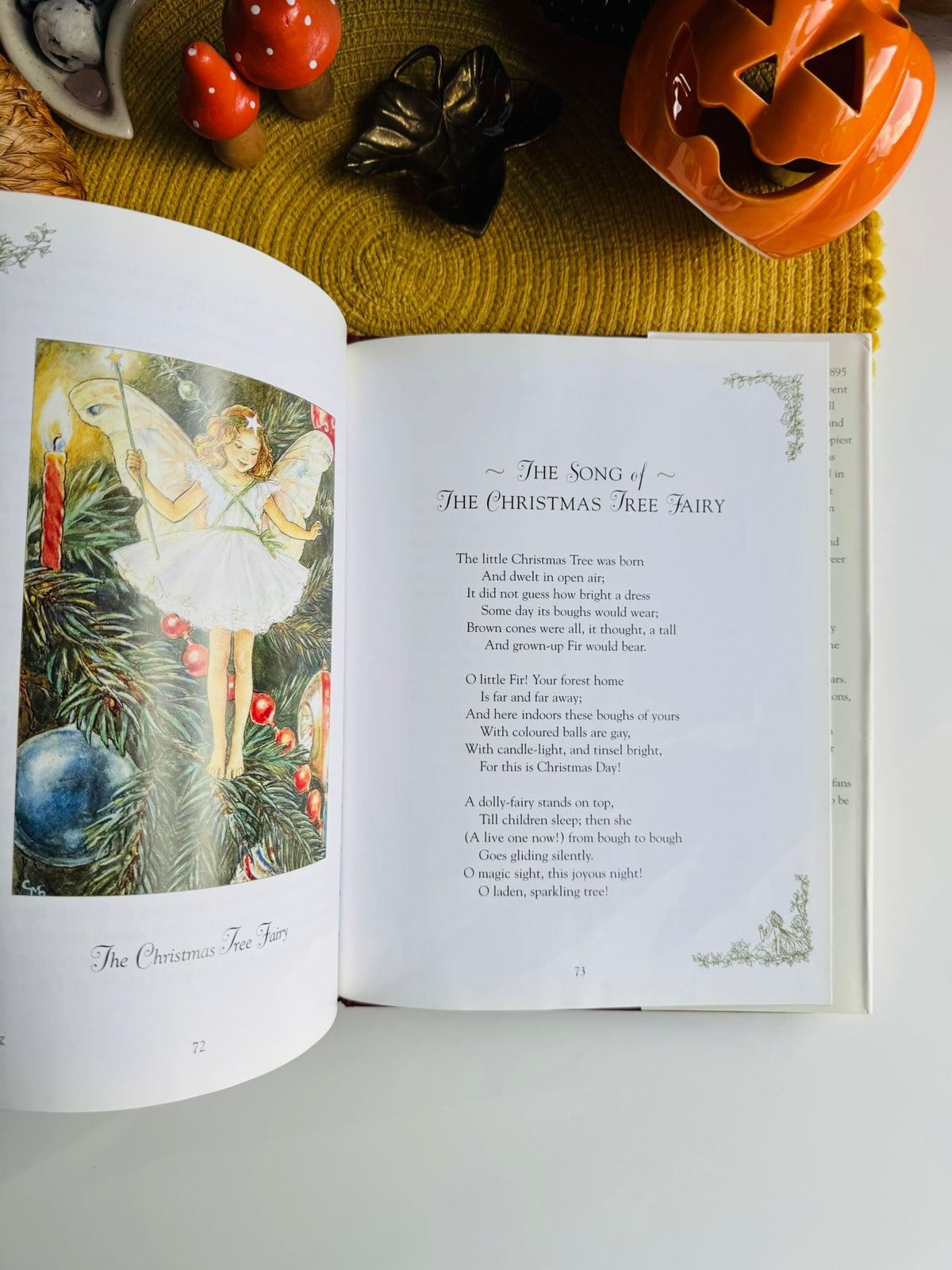 Flower Fairies of the Winter: A Celebration by Cicely Mary Barker