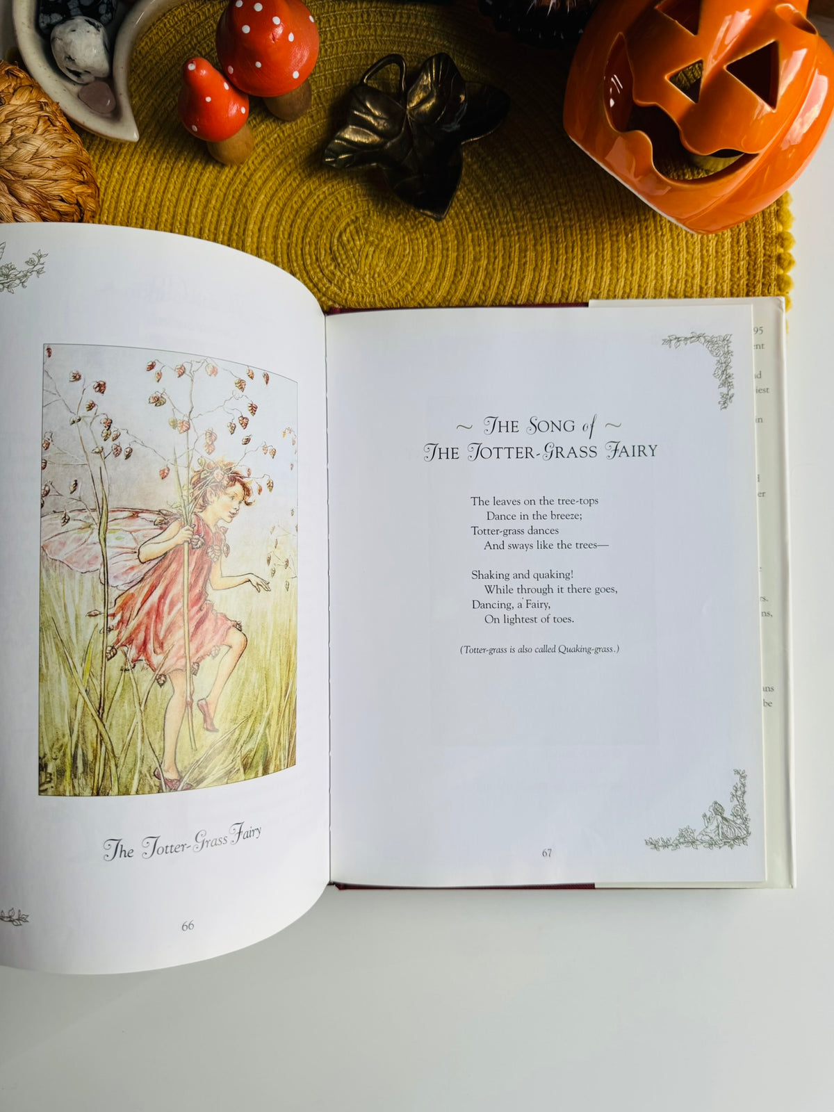 Flower Fairies of the Winter: A Celebration by Cicely Mary Barker