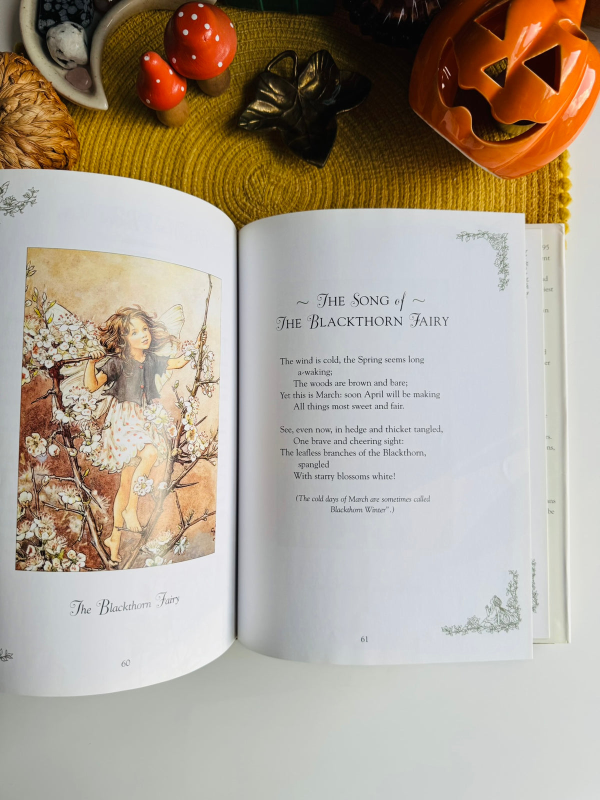 Flower Fairies of the Winter: A Celebration by Cicely Mary Barker