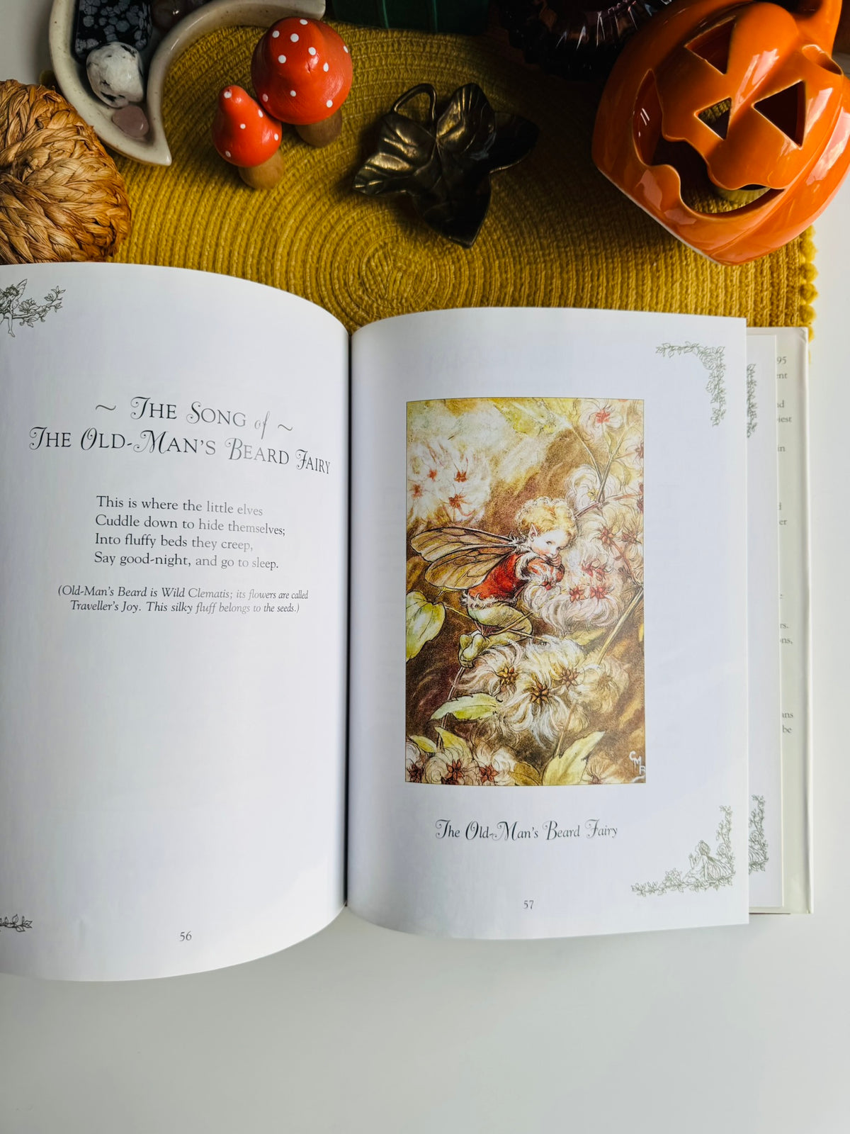 Flower Fairies of the Winter: A Celebration by Cicely Mary Barker
