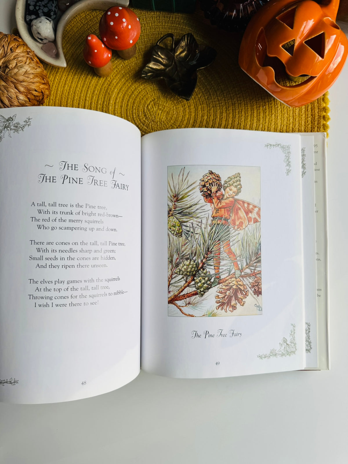 Flower Fairies of the Winter: A Celebration by Cicely Mary Barker