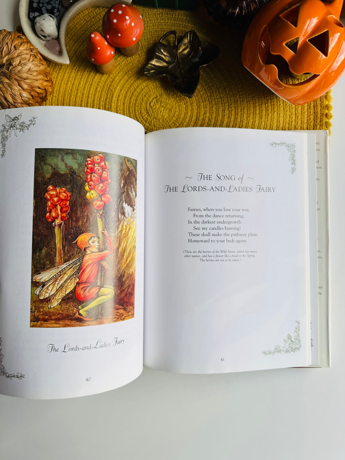 Flower Fairies of the Winter: A Celebration by Cicely Mary Barker