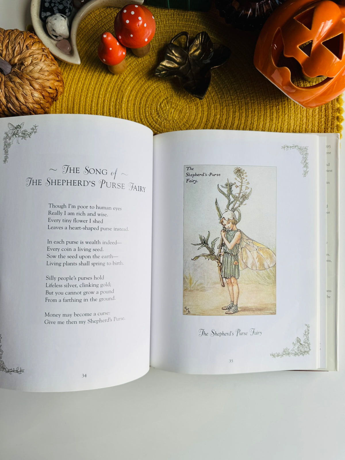 Flower Fairies of the Winter: A Celebration by Cicely Mary Barker