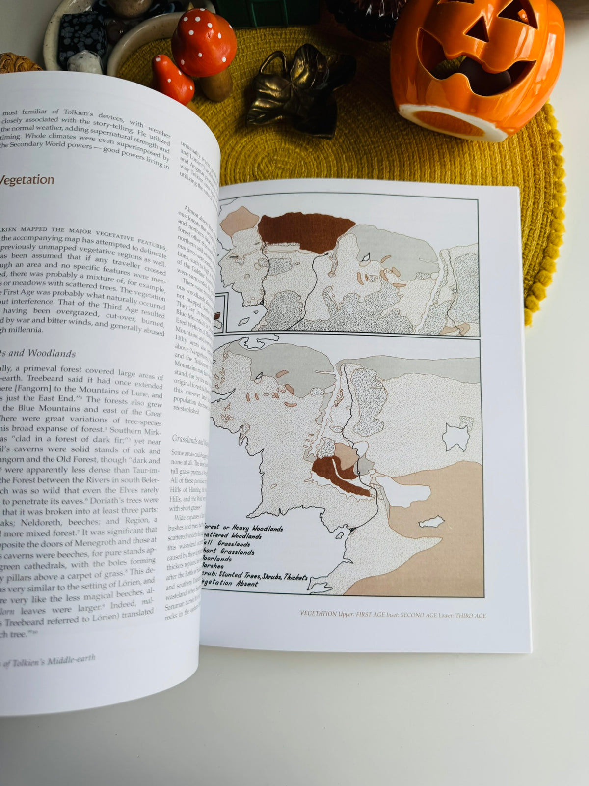 The Atlas of Tolkien’s Middle-Earth