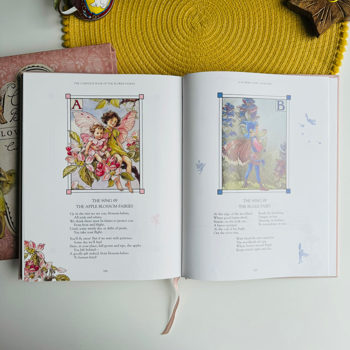 Flower Fairies Library Set by Cicely Mary Barker (1999)