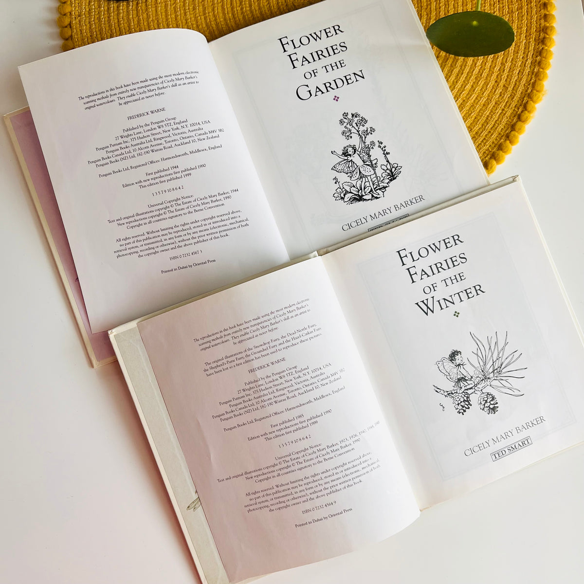 Flower Fairies Library Set by Cicely Mary Barker (1999)