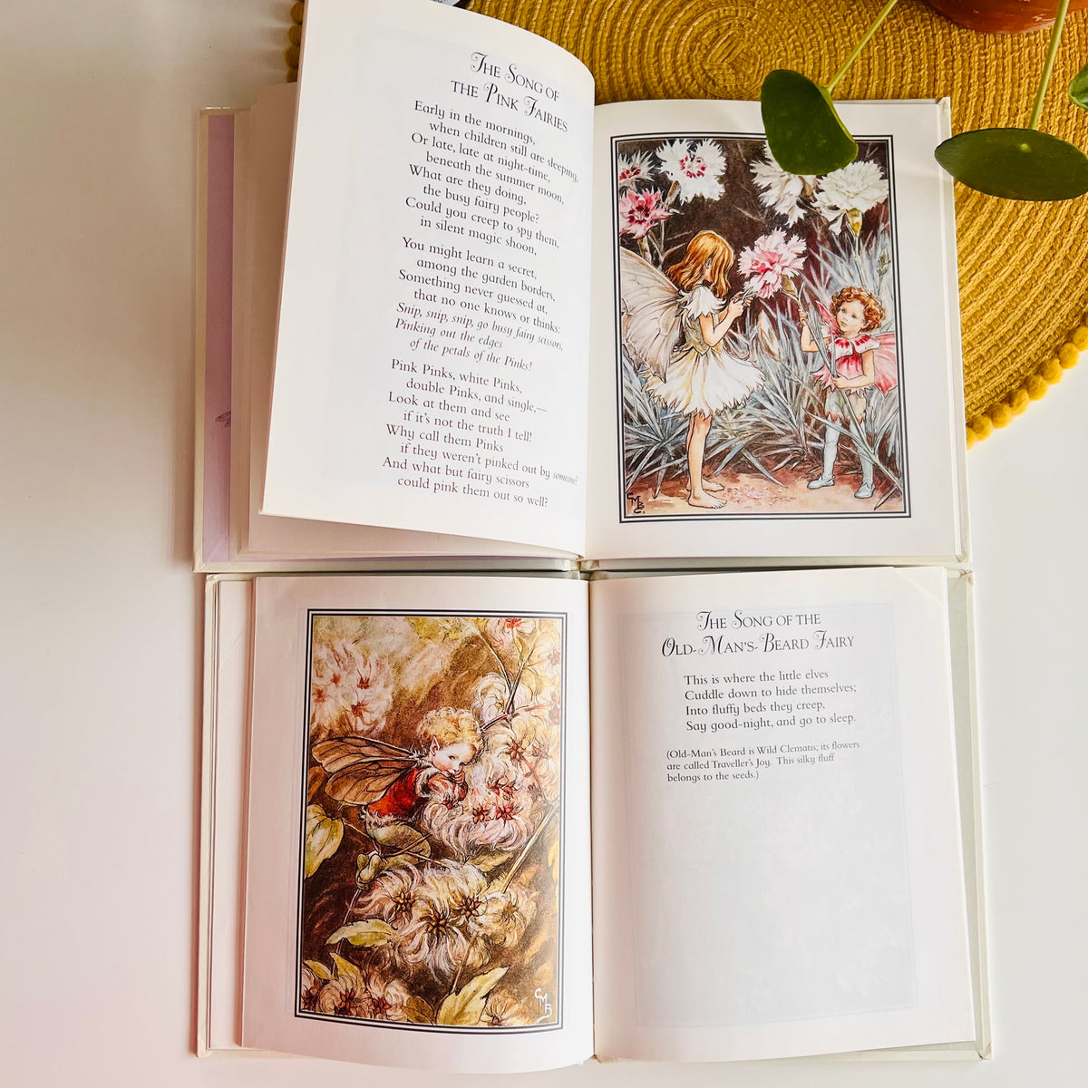 Flower Fairies Library Set by Cicely Mary Barker (1999)