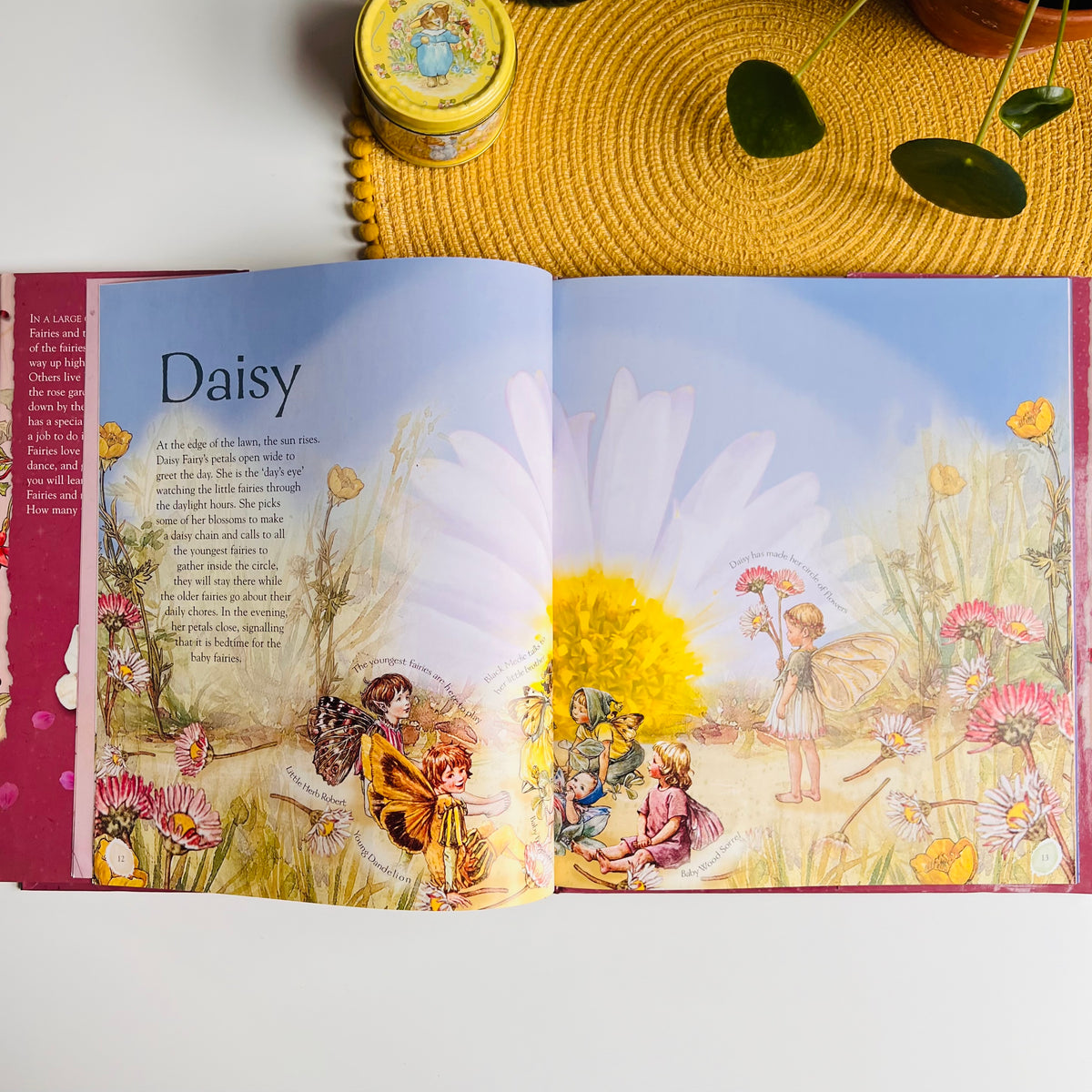 Flower Fairies Friends: My Garden Of Flower Fairies by Cicely Mary Barker