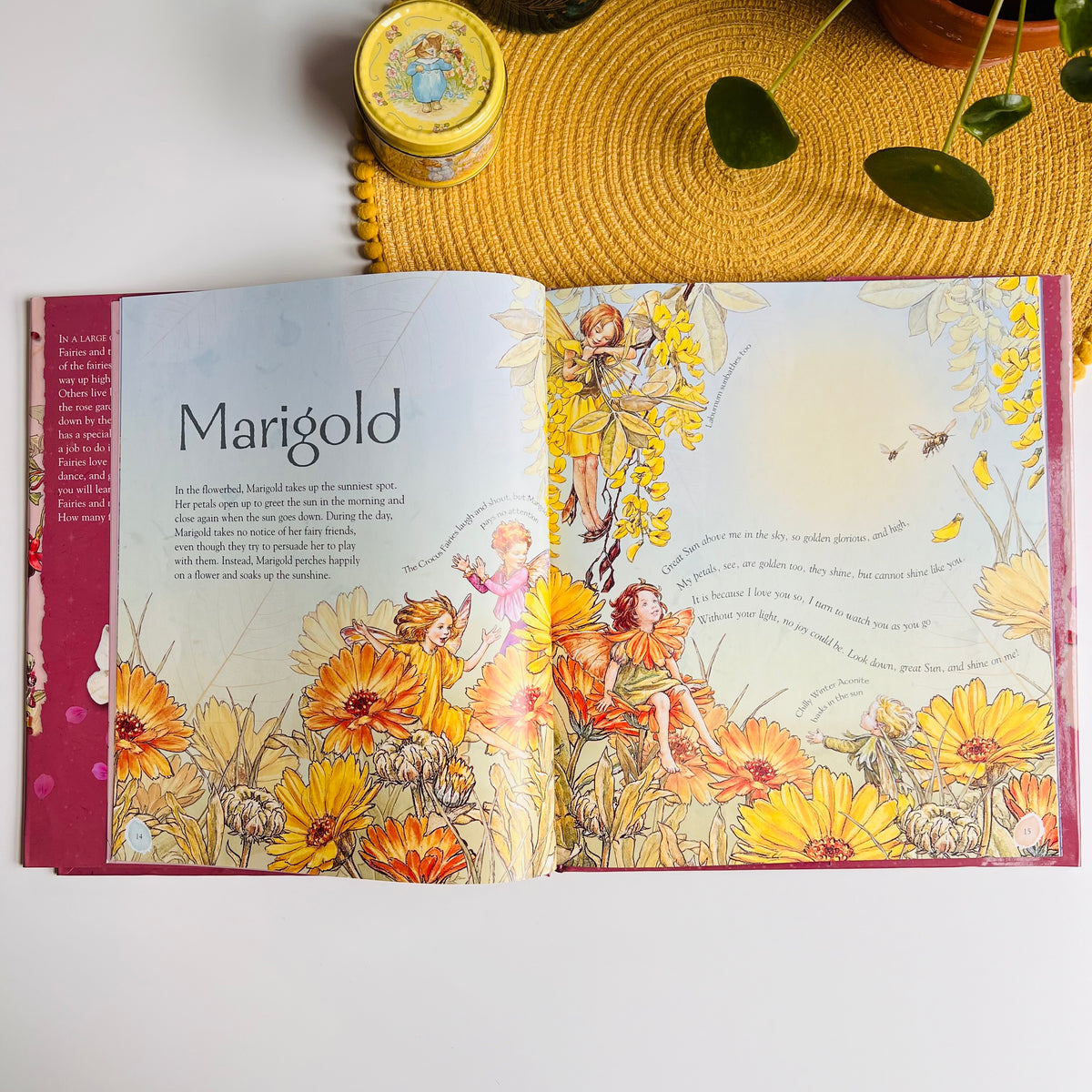 Flower Fairies Friends: My Garden Of Flower Fairies by Cicely Mary Barker