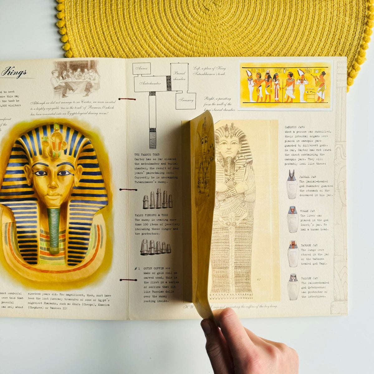 Egyptology: Search for the Tomb of Osiris by Emily Sands, Ologie Series (Vintage Book)