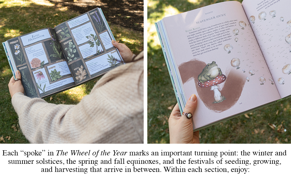 The Wheel of the Year: An Illustrated Guide to Nature's Rhythms by Fiona Cook, Jessica Roux