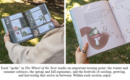 The Wheel of the Year: An Illustrated Guide to Nature's Rhythms by Fiona Cook, Jessica Roux