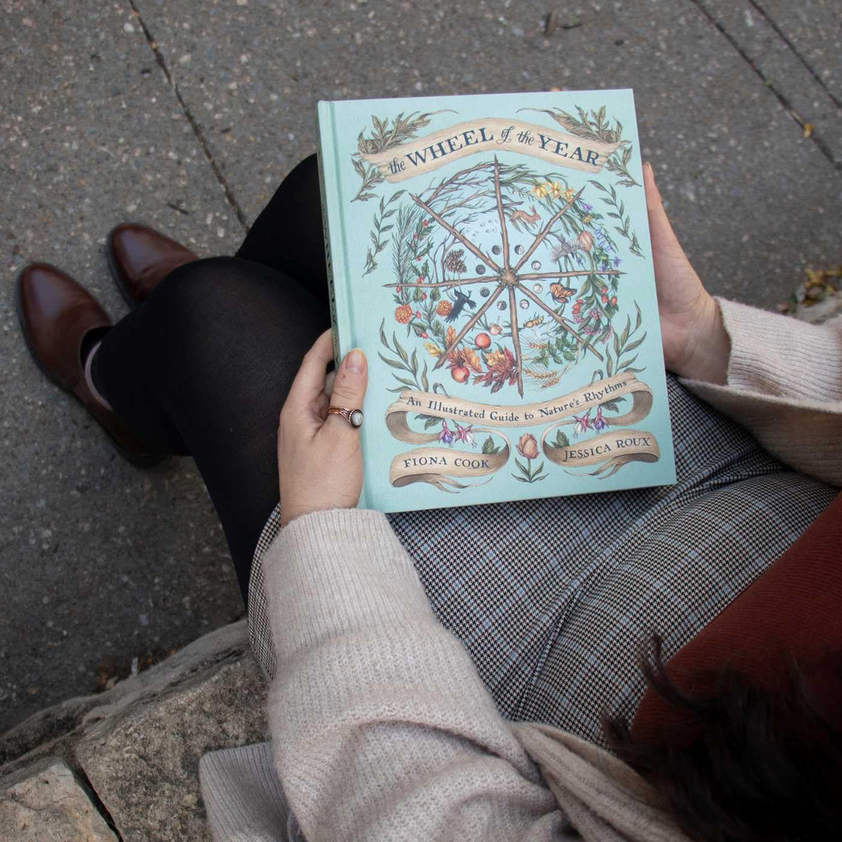 The Wheel of the Year: An Illustrated Guide to Nature's Rhythms by Fiona Cook, Jessica Roux