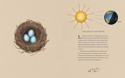The Wheel of the Year: An Illustrated Guide to Nature's Rhythms by Fiona Cook, Jessica Roux