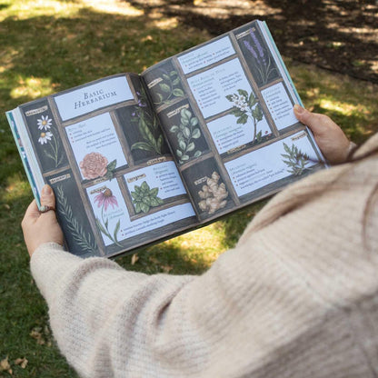 The Wheel of the Year: An Illustrated Guide to Nature's Rhythms by Fiona Cook, Jessica Roux