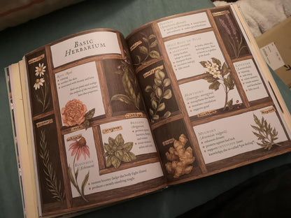 The Wheel of the Year: An Illustrated Guide to Nature's Rhythms by Fiona Cook, Jessica Roux