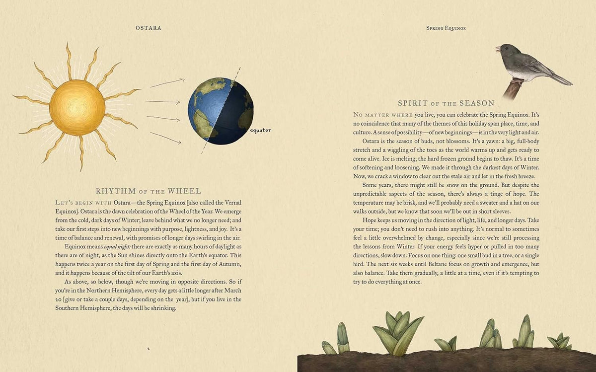 The Wheel of the Year: An Illustrated Guide to Nature's Rhythms by Fiona Cook, Jessica Roux