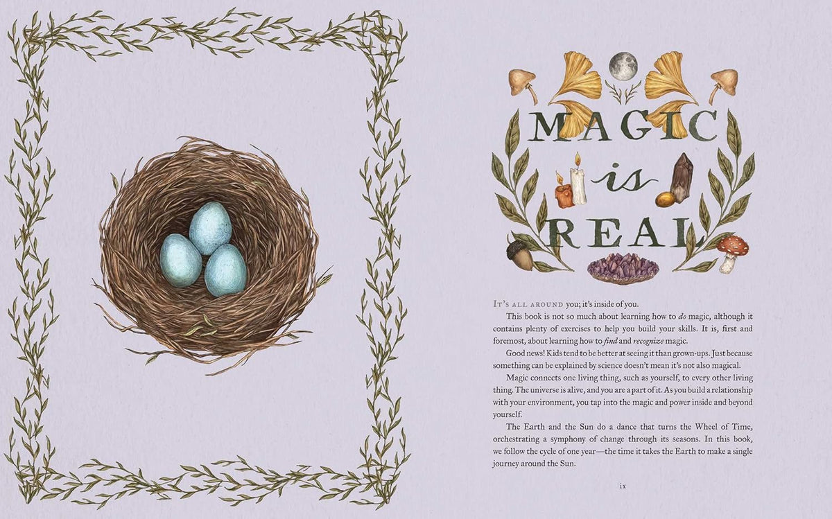 The Wheel of the Year: An Illustrated Guide to Nature's Rhythms by Fiona Cook, Jessica Roux