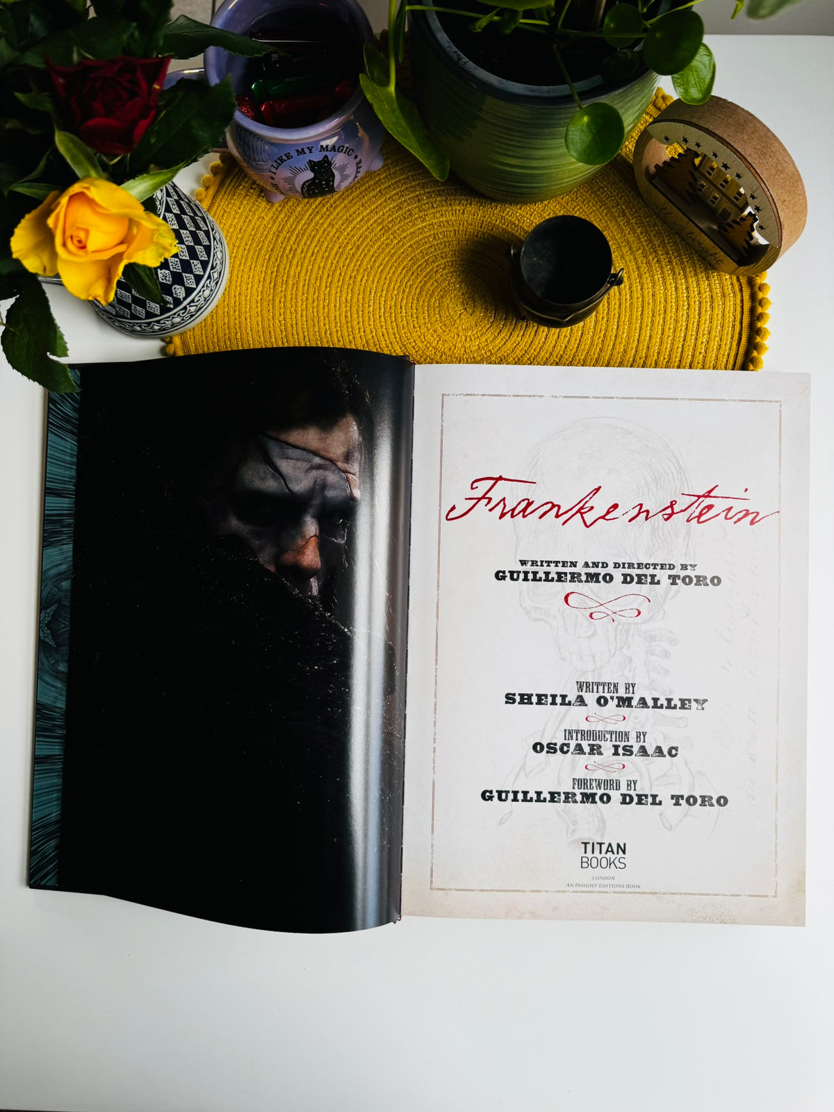 Frankenstein: Written and Directed by Guillermo del Toro, Film Book