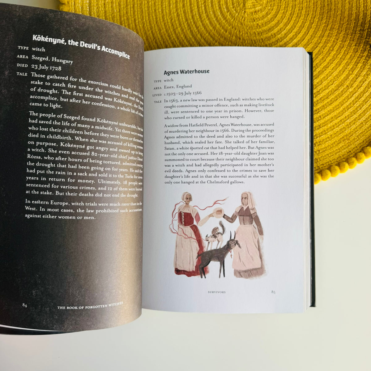 The Book of Forgotten Witches: Dark & Twisted Folklore, Stories from Around the World