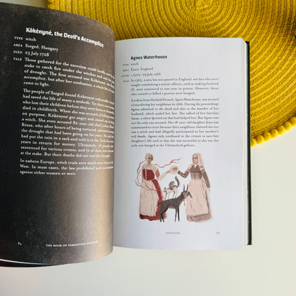 The Book of Forgotten Witches: Dark & Twisted Folklore, Stories from Around the World
