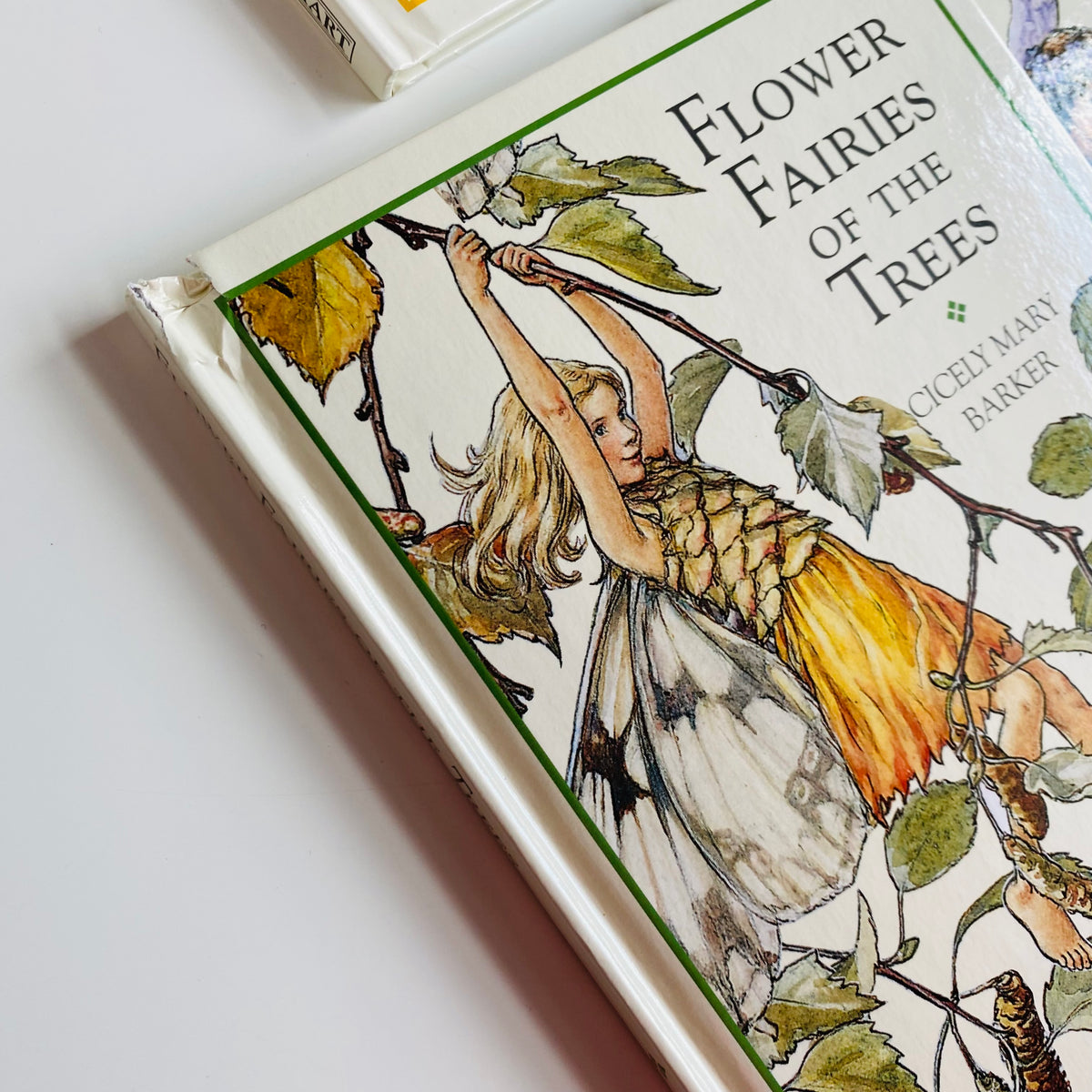 Flower Fairies Library Set by Cicely Mary Barker (1999)
