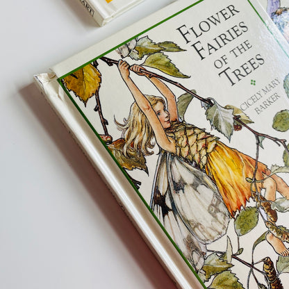 Flower Fairies Library Set by Cicely Mary Barker (1999)