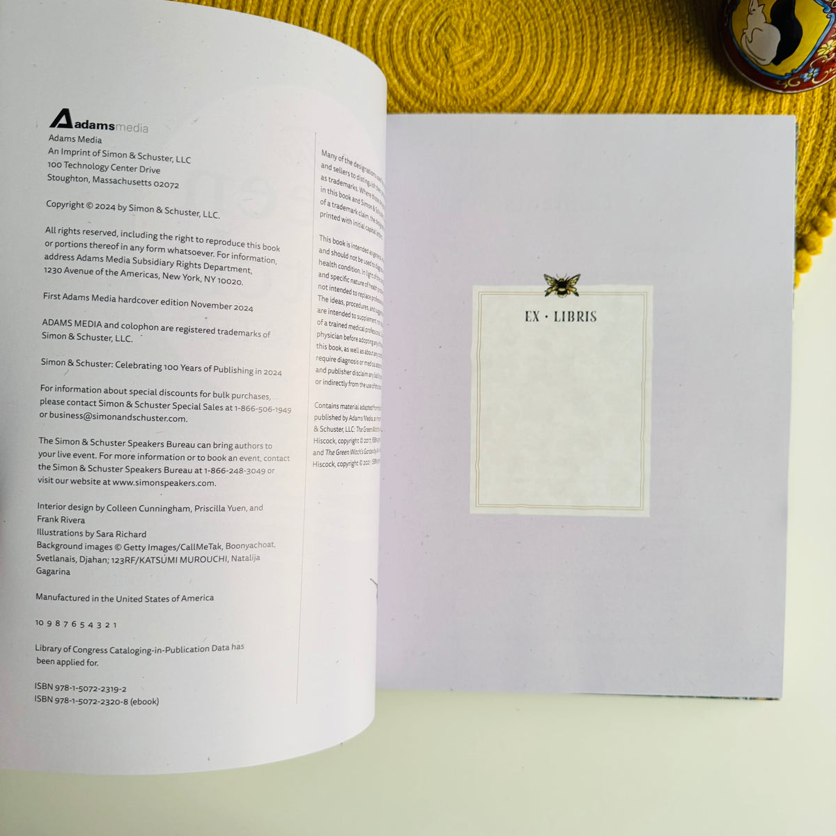 The Green Witch Illustrated: Green Witch Witchcraft Series