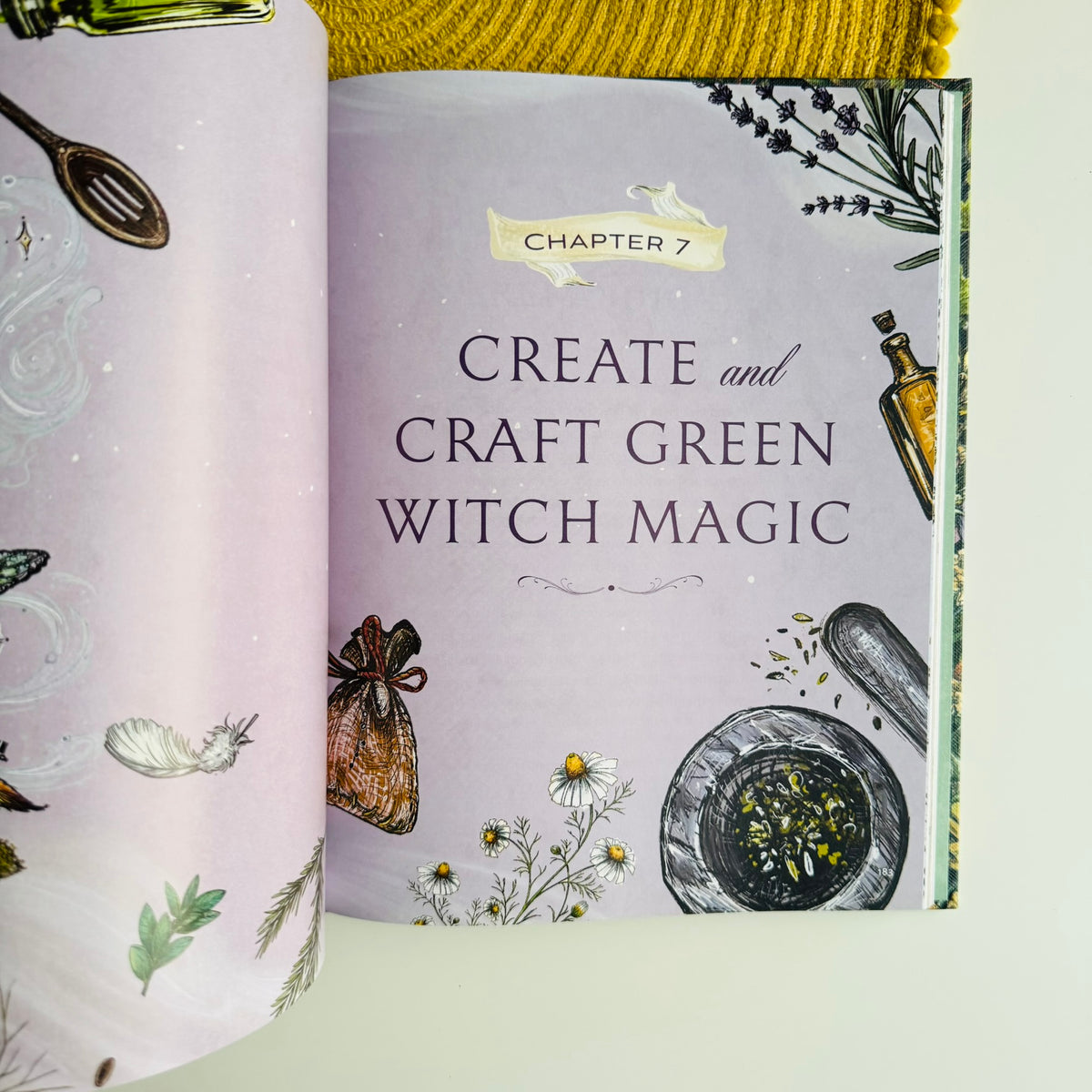 The Green Witch Illustrated: Green Witch Witchcraft Series