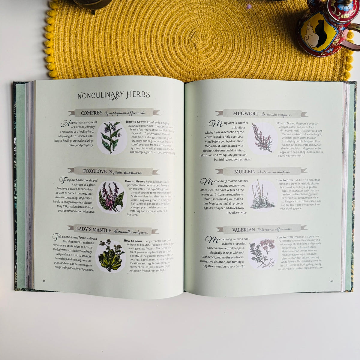 The Green Witch Illustrated: Green Witch Witchcraft Series