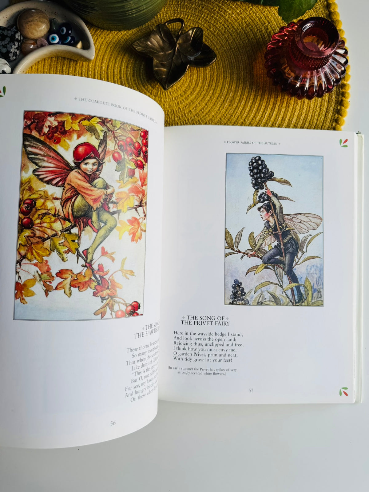 The Complete Book of the Flower Fairies by Cicely Mary Barker