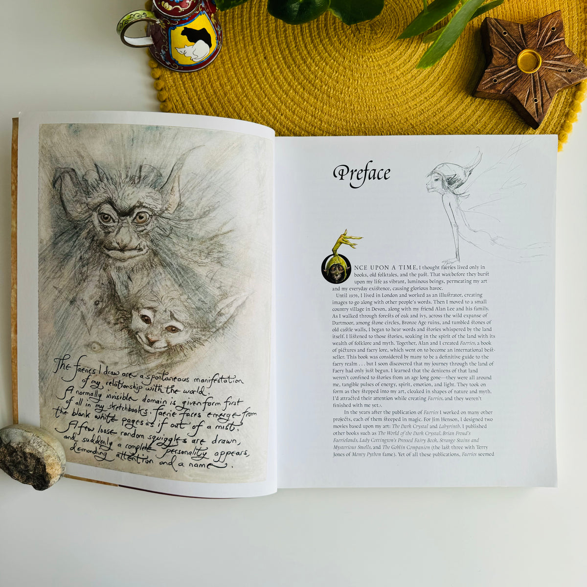 Good Faeries, Bad Faeries by Brian Froud